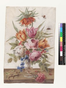 含有蜥蜴和昆虫花的威尼斯玻璃高脚杯，1634（牛皮纸上的水粉）