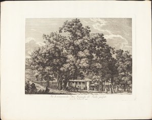 上世纪菲亚明奇画家的娱乐场所，位于Monte Testaccio。