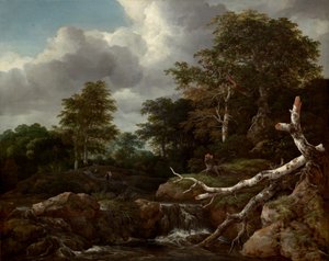 森林景象，约1655年。 作者 雅各布范瑞斯达尔