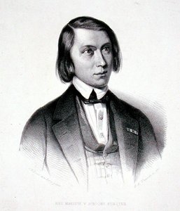 约瑟夫-赫尔曼努斯-维尔赫斯特（1816-91）的肖像（雕刻）。 作者 Jacobus Everardus Josephus van den (after) Berg