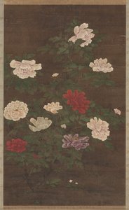 牡丹