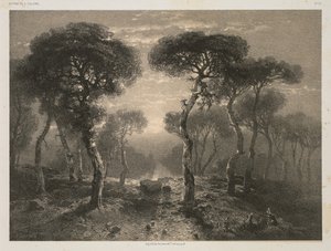 A. 卡拉梅的作品卡拉梅，第 13 期：瓦莱州的锡耶勒森林 作者 亚历山大卡拉梅