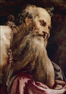 冥想中的圣杰罗姆 作者 哈科波·巴萨诺（Jacopo Bassano）