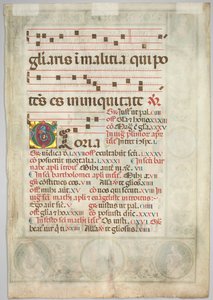 渐变叶片装饰首字母（背面） 作者 Jacopo Filippo d'Argenta