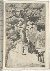 带钟声的山毛榉树（Faggio della campana）[板块X] 。 作者 雅各布·利戈齐（Jacopo Ligozzi）