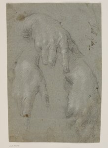 右手的三项研究 作者 哈科波·帕尔玛（Jacopo Palma）