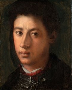 亚历山德罗·德·美第奇的肖像1510-1537，1534-1535 作者 雅各布·蓬托尔莫