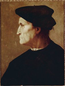 Francesco da Castiglione的侧面肖像 作者 雅各布·蓬托尔莫