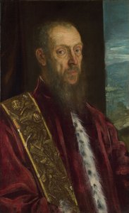 Vincenzo Morosini的画像，约。 1575 作者 雅各布·罗布斯提·丁托列托