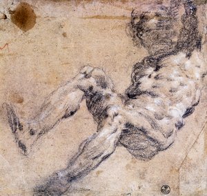 Study of male nude 作者 雅各布·罗布斯提·丁托列托