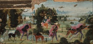 阿克泰恩变成雄鹿 作者 Jacopo del Sellaio