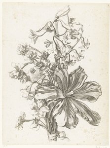 郁金香、风信子、金鸡菊和水仙的花束
Diverses Fleurs mises en Boucquets（系列名称） 作者 雅克·贝利（一）