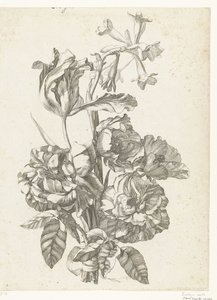 牡丹、郁金香和扫帚菜花束
Diverses Fleurs mises en Boucquets（系列名称） 作者 雅克·贝利（一）