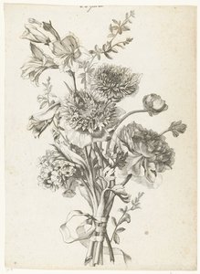 海葵花束
牡丹、芍药、石竹和剑兰组成的花束
不同的花束（系列名称） 作者 雅克·贝利（一）