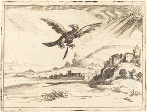 老鹰失去了一根旧羽毛，1628年。