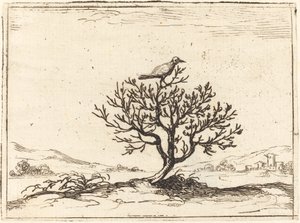 灌木丛中的夜莺，1628年。 作者 雅克·卡洛