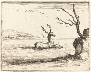 水中的雄鹿》，1628年。 作者 雅克·卡洛