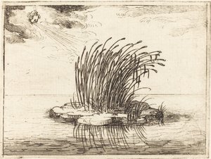 芦苇和风 作者 雅克·卡洛