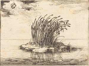 芦苇和风 作者 雅克·卡洛