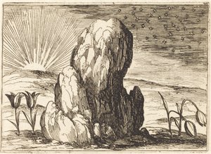 郁金香与太阳》，1628年。 作者 雅克·卡洛