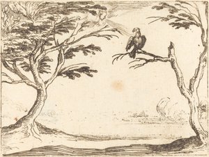 秃鹫 作者 雅克·卡洛