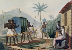 在1825年出版的Choubard镌刻的“世界各地的航海世界之旅1817-20”中，载有法兰西岛的Palanquin