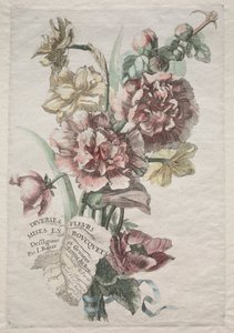 一束各种鲜花：1号-蜀葵和水仙，c。 1670。 作者 雅克·贝伊