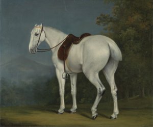 一位女士的灰色猎人，约1806年（布面油画） 作者 雅克·洛朗·阿加斯