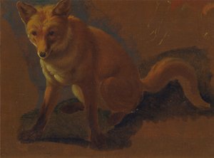 狐狸研究 作者 雅克·洛朗·阿加斯