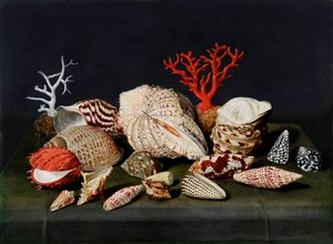 "" 贝壳和珊瑚的静物 "" Jacques Linard (1597-1645) 绘画，-木上油彩，47x64-Fondation Custodia