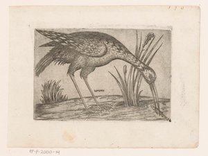 沃格尔
Tartena （物品上的标题）
Vogels（系列名称） 作者 雅克·德·福纳泽里斯（可能）