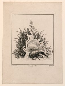 徽章，选自 "Recueil Nouveau de Differens Cartouche