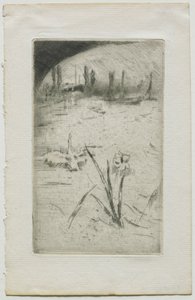 天鹅和鸢尾花，1883年。 作者 詹姆斯·阿博特·麦克尼尔·惠斯勒
