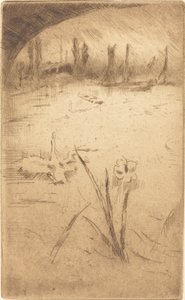 Swan and Iris，1883年出版。 作者 詹姆斯·阿博特·麦克尼尔·惠斯勒