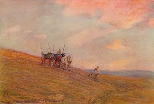 在Harting附近的丘陵地区，c1870-1906，1906年。