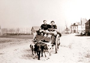 拉车的狗妇女，安特卫普，1898年。