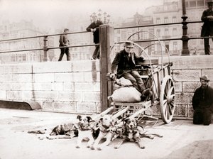 有狗车的人，安特卫普，1898年。