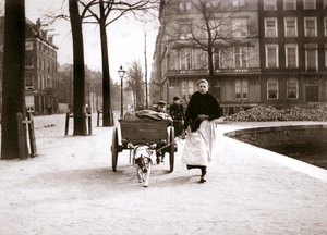 1898年，带有狗车的女人，鹿特丹。
