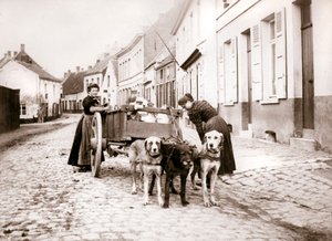 妇女和狗车，安特卫普，1898年
