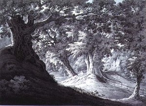 Beddington，萨里 作者 詹姆斯·伯恩