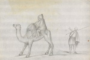 旅行者和骑骆驼的人 作者 詹姆斯·布鲁斯