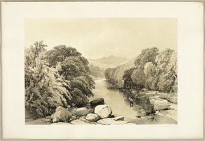 公园与森林》中的白蜡树、梧桐树和橡树 作者 詹姆斯·杜菲尔德·哈丁