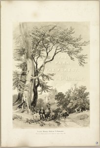 山毛榉和橡树（卷首画），选自《公园与森林》 作者 詹姆斯·杜菲尔德·哈丁