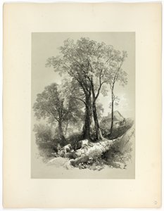 德文郡希普利桥，选自《风景如画选集 作者 詹姆斯·杜菲尔德·哈丁