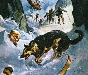 雪中营救