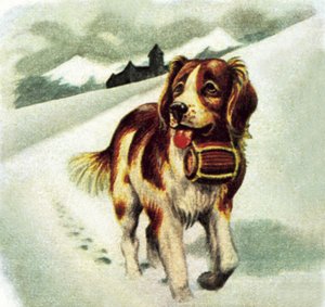 圣伯纳犬 作者 詹姆斯·埃德温·麦康奈尔