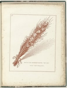 荷兰人民临时代表之祸 , 1795 年
荷兰人民的部分代表（物上标题）
荷兰再生》（丛书名） 作者 威廉·汉弗莱（可能）