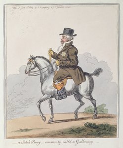 苏格兰普尼，通常称为加洛韦，由Hannah Humphrey于1803年出版（手工蚀刻）