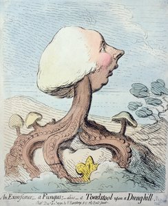 一个异常;真菌; Alias  -  Dung-hill上的毒蕈，由Hannah Humphrey于1791年出版（使用wc蚀刻）