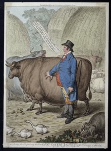 肥牛，由Hannah Humphrey于1802年出版（手工蚀刻）